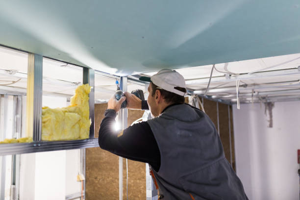 Best Attic Insulation Installation  in Nd Point, WI