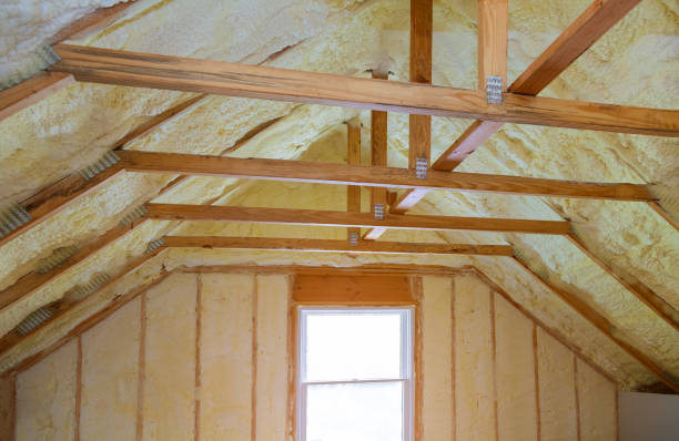 Best Insulation Removal  in Nd Point, WI