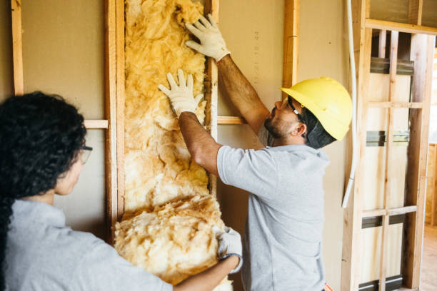 Best Cellulose Insulation  in Nd Point, WI