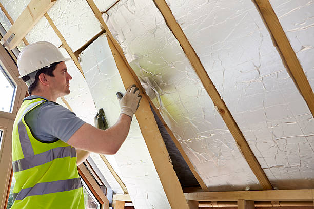 Best Commercial Insulation Contractor  in Nd Point, WI
