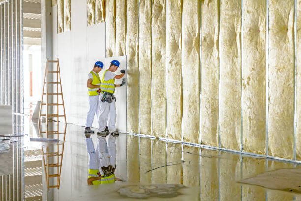 Best Insulation for New Construction  in Nd Point, WI